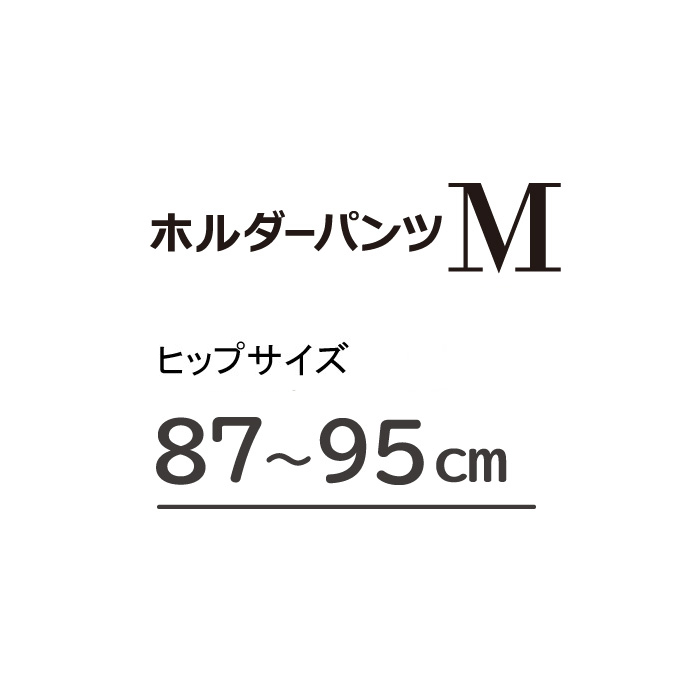 【ケース販売】ネピアテンダー ホルダーパンツ 女性用 Lサイズ 1枚 ×5パック
